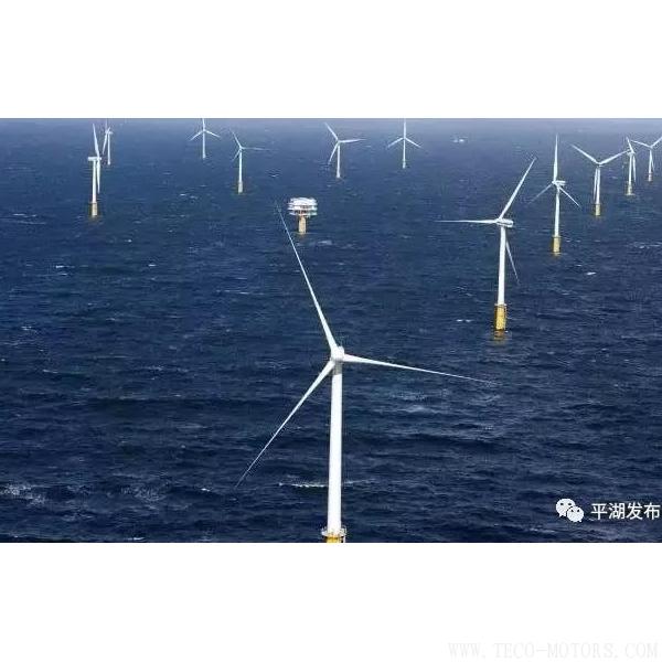 【電廠】嘉興規(guī)模最大的海上風(fēng)電項(xiàng)目將在平湖動(dòng)工建設(shè) 行業(yè)資訊 第2張 【電廠】嘉興規(guī)模最大的海上風(fēng)電項(xiàng)目將在平湖動(dòng)工建設(shè) - TECO東元電機(jī) | 變頻器·伺服電機(jī)·減速機(jī)·電機(jī)解決方案