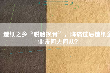 造紙之鄉(xiāng)“脫胎換骨”，陣痛過后造紙企業(yè)該何去何從？