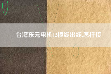 臺(tái)灣東元電機(jī)12根線(xiàn)出線(xiàn),怎樣接