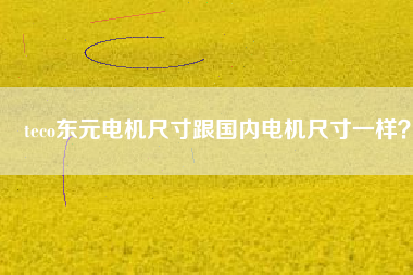 teco東元電機(jī)尺寸跟國內(nèi)電機(jī)尺寸一樣？