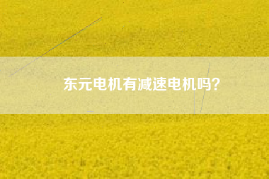 東元電機(jī)有減速電機(jī)嗎？