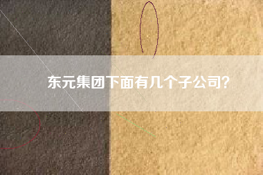 東元集團下面有幾個子公司？