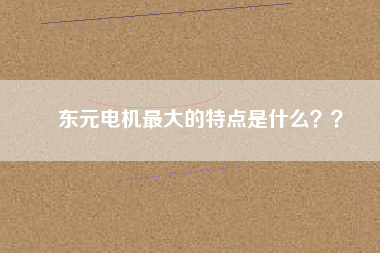 東元電機(jī)最大的特點(diǎn)是什么？？