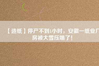 【造紙】停產(chǎn)不到1小時，安徽一紙業(yè)廠房被大雪壓塌了！