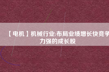 【電機(jī)】機(jī)械行業(yè):布局業(yè)績?cè)鲩L快競爭力強(qiáng)的成長股
          