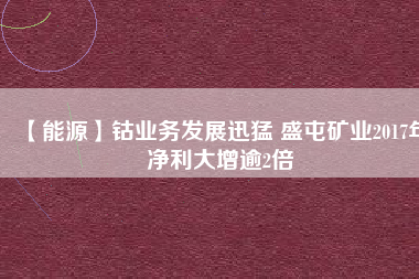 【能源】鈷業(yè)務發(fā)展迅猛 盛屯礦業(yè)2017年凈利大增逾2倍