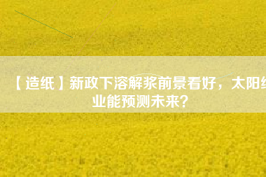 【造紙】新政下溶解漿前景看好，太陽紙業(yè)能預(yù)測未來？