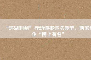 “環(huán)湖利劍”行動通報違法典型，兩家紙企“榜上有名”