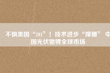 不懼美國“201”！技術(shù)進(jìn)步“撐腰” 中國光伏馳騁全球市場