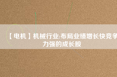【電機(jī)】機(jī)械行業(yè):布局業(yè)績?cè)鲩L快競爭力強(qiáng)的成長股
          