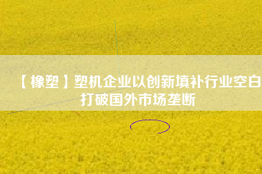 【橡塑】塑機(jī)企業(yè)以創(chuàng)新填補(bǔ)行業(yè)空白 打破國外市場(chǎng)壟斷