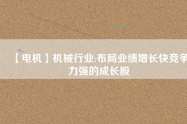 【電機(jī)】機(jī)械行業(yè):布局業(yè)績?cè)鲩L快競爭力強(qiáng)的成長股
          