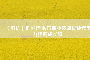 【電機(jī)】機(jī)械行業(yè):布局業(yè)績?cè)鲩L快競爭力強(qiáng)的成長股
          