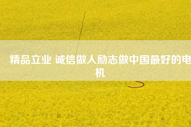 精品立業(yè) 誠信做人勵(lì)志做中國最好的電機(jī)
          
