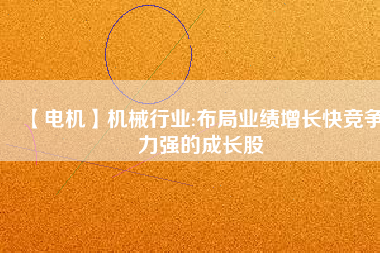 【電機(jī)】機(jī)械行業(yè):布局業(yè)績?cè)鲩L快競爭力強(qiáng)的成長股
          