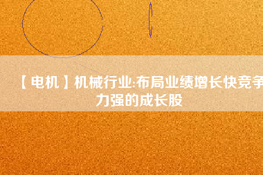 【電機(jī)】機(jī)械行業(yè):布局業(yè)績?cè)鲩L快競爭力強(qiáng)的成長股
          