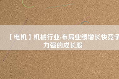 【電機(jī)】機(jī)械行業(yè):布局業(yè)績?cè)鲩L快競爭力強(qiáng)的成長股
          