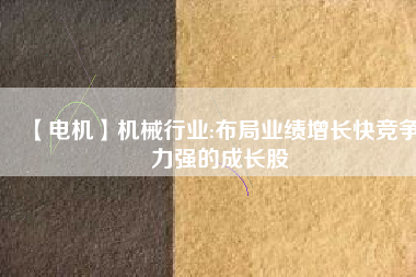【電機(jī)】機(jī)械行業(yè):布局業(yè)績?cè)鲩L快競爭力強(qiáng)的成長股
          