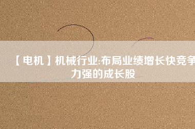 【電機(jī)】機(jī)械行業(yè):布局業(yè)績?cè)鲩L快競爭力強(qiáng)的成長股
          