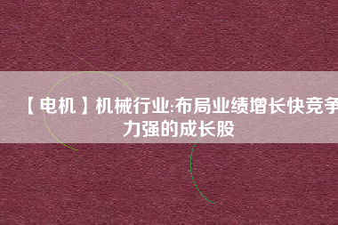 【電機(jī)】機(jī)械行業(yè):布局業(yè)績?cè)鲩L快競爭力強(qiáng)的成長股
          