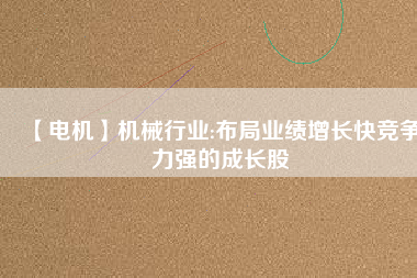 【電機(jī)】機(jī)械行業(yè):布局業(yè)績?cè)鲩L快競爭力強(qiáng)的成長股
          