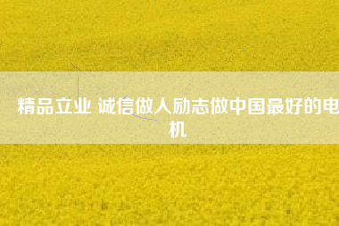 精品立業(yè) 誠信做人勵(lì)志做中國最好的電機(jī)
          