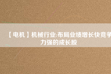 【電機(jī)】機(jī)械行業(yè):布局業(yè)績?cè)鲩L快競爭力強(qiáng)的成長股
          