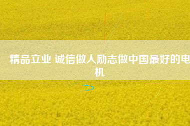 精品立業(yè) 誠信做人勵(lì)志做中國最好的電機(jī)
          