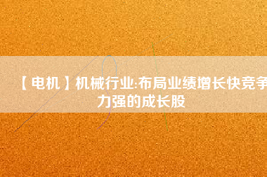 【電機(jī)】機(jī)械行業(yè):布局業(yè)績?cè)鲩L快競爭力強(qiáng)的成長股
          