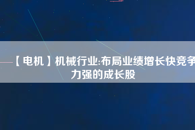 【電機(jī)】機(jī)械行業(yè):布局業(yè)績?cè)鲩L快競爭力強(qiáng)的成長股
          