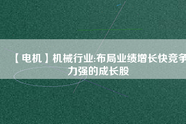 【電機(jī)】機(jī)械行業(yè):布局業(yè)績?cè)鲩L快競爭力強(qiáng)的成長股
          