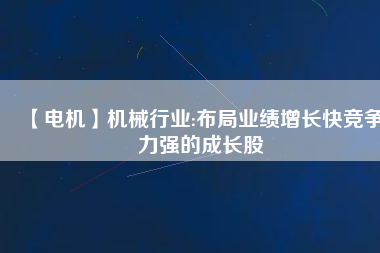【電機(jī)】機(jī)械行業(yè):布局業(yè)績?cè)鲩L快競爭力強(qiáng)的成長股
          