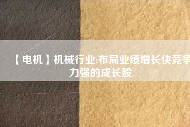 【電機(jī)】機(jī)械行業(yè):布局業(yè)績?cè)鲩L快競爭力強(qiáng)的成長股
          