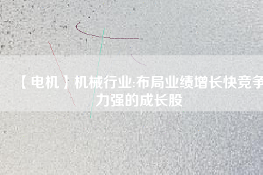【電機(jī)】機(jī)械行業(yè):布局業(yè)績?cè)鲩L快競爭力強(qiáng)的成長股
          