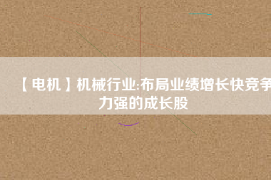 【電機(jī)】機(jī)械行業(yè):布局業(yè)績?cè)鲩L快競爭力強(qiáng)的成長股
          