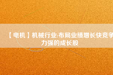 【電機(jī)】機(jī)械行業(yè):布局業(yè)績?cè)鲩L快競爭力強(qiáng)的成長股
          