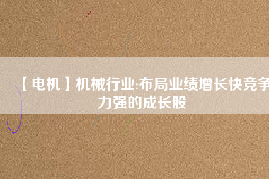 【電機(jī)】機(jī)械行業(yè):布局業(yè)績?cè)鲩L快競爭力強(qiáng)的成長股
          