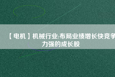 【電機(jī)】機(jī)械行業(yè):布局業(yè)績?cè)鲩L快競爭力強(qiáng)的成長股
          