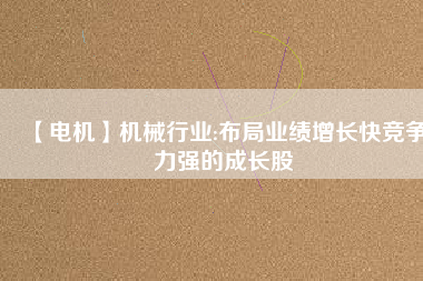 【電機(jī)】機(jī)械行業(yè):布局業(yè)績?cè)鲩L快競爭力強(qiáng)的成長股
          