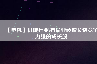 【電機(jī)】機(jī)械行業(yè):布局業(yè)績?cè)鲩L快競爭力強(qiáng)的成長股
          