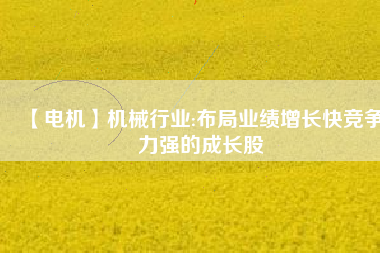 【電機(jī)】機(jī)械行業(yè):布局業(yè)績?cè)鲩L快競爭力強(qiáng)的成長股
          