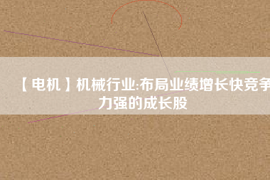【電機(jī)】機(jī)械行業(yè):布局業(yè)績?cè)鲩L快競爭力強(qiáng)的成長股
          