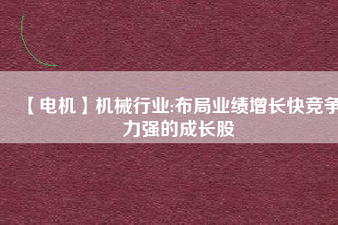 【電機(jī)】機(jī)械行業(yè):布局業(yè)績?cè)鲩L快競爭力強(qiáng)的成長股
          