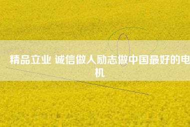 精品立業(yè) 誠信做人勵(lì)志做中國最好的電機(jī)
          