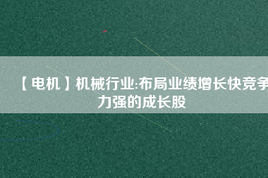 【電機(jī)】機(jī)械行業(yè):布局業(yè)績?cè)鲩L快競爭力強(qiáng)的成長股
          