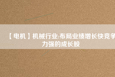【電機(jī)】機(jī)械行業(yè):布局業(yè)績?cè)鲩L快競爭力強(qiáng)的成長股
          