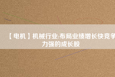 【電機(jī)】機(jī)械行業(yè):布局業(yè)績?cè)鲩L快競爭力強(qiáng)的成長股
          