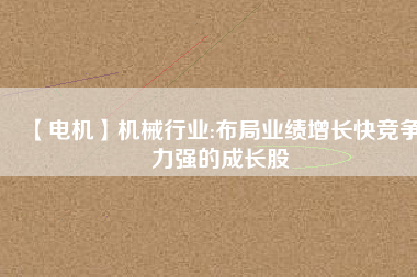 【電機(jī)】機(jī)械行業(yè):布局業(yè)績?cè)鲩L快競爭力強(qiáng)的成長股
          