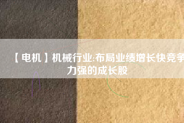 【電機(jī)】機(jī)械行業(yè):布局業(yè)績?cè)鲩L快競爭力強(qiáng)的成長股
          