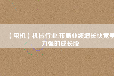 【電機(jī)】機(jī)械行業(yè):布局業(yè)績?cè)鲩L快競爭力強(qiáng)的成長股
          